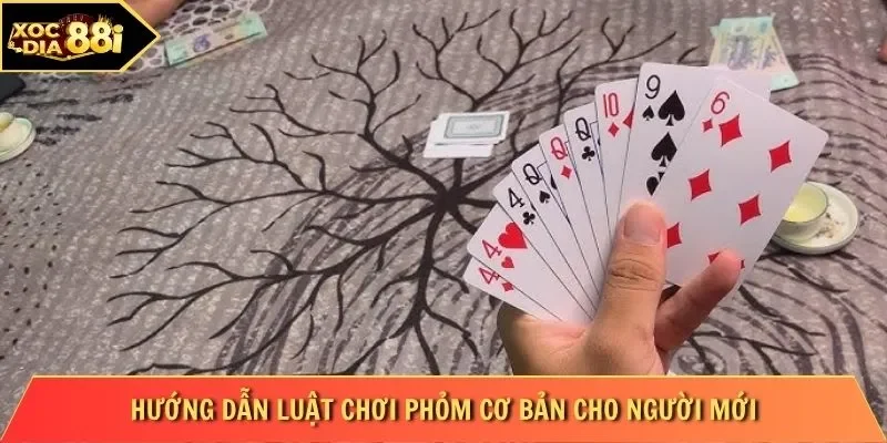 Hướng dẫn luật chơi phỏm cơ bản cho người mới