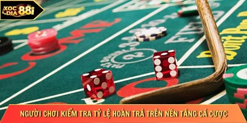 Người chơi kiểm tra tỷ lệ hoàn trả trên nền tảng cá cược